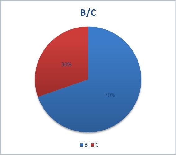 BC 买家占比, 类批发为主 de B,。 do 占比达到 70%