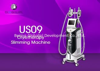 40 KHz Cryolipolysis Machine With 2 Freeze Handles Easy Operation